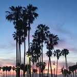 Kenyetta Wilson - @wilsonkenyetta - Instagram
