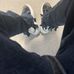 Kenyon Bell - Facebook
