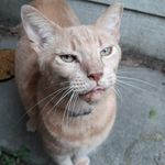 Kenyon King - @7133443527a - Instagram