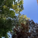 Woods at Bale Kenyon - @woods_at_bale_kenyon - Instagram