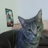 kenzie.richards9 - @kenzie.richards9 - TikTok
