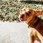 Keon (Noodle) James - @noodlejames - Instagram