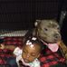 Keyontae Moore - Facebook