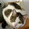 Keramost - @keramost - TikTok