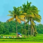 Vestige Kerala - Facebook