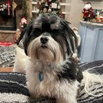 Keri Allison - @kma3099gmailcom - Instagram