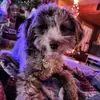 Kerry Blackburn - @kerry.blackburn - TikTok