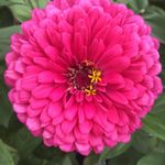 Keri Boyd - @bettybensonrocks - Instagram