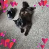 Kerri Brock - @kerri.brock1 - TikTok