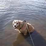 Keri Conlon - @keri.conlon - Instagram