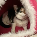 Keri Cook - @kericook03 - Instagram