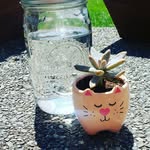 Kerri & Makayla Cottrell - @kaykscreations_lakestevens - Instagram