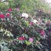 Kerri Egan - Facebook