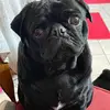 Keri Ellis - @evillangel88 - TikTok