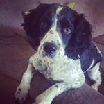 keri - @kerifoxorourke - Instagram