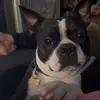 Keri Horne - @keri.horne - TikTok