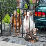 Keri Jon Lloyd Waite - @kerijonlloydwaite - Instagram