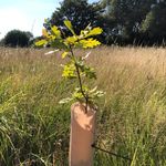 Keri Lloyd - @lloydytreehugger - Instagram