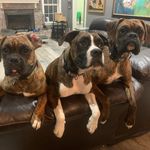 Keri Lyon Monte - @criminalcuteness - Instagram