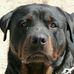 Keri Blankenship-Mann - Facebook