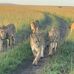 Mathew Kirui - Facebook