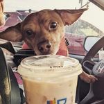 Kerri McClain - @ksyaya11 - Instagram