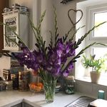 Keri Norris - @keriwhitney52 - Instagram