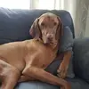 Keri Norris - @keri.norris6 - TikTok