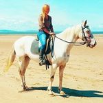 Keri Warden-Owen ICF ACC - @icoachingwithhorses - Instagram