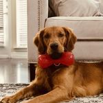 Keri Palmer - @agirlwithhergolden - Instagram
