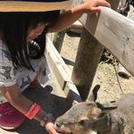 eri_kuriyama - @k_eri_sands - Instagram