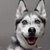 Kerrie Smart - @kerrie.smart - TikTok
