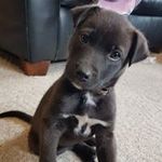 Keri Stuart - @keri.stuart1 - Instagram