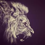 Kerim_delic - @kerim.terry - Instagram