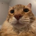 Keri Waller - @charlie_fan_acc_ - Instagram
