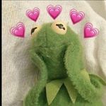 Kermit 🐸 - @cookwithkermit - Instagram