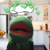 💚Kermit’s Cooking 💚 - @kermits.cooking.show - TikTok