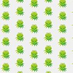 Lucero Aguilar - @_kermit.cookies_ - Instagram