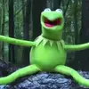 elliottlinn - @kermit685 - TikTok