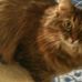Kermit Ellis - Facebook