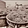 kermitloyd - @kermitloyd - TikTok