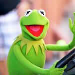 Kermit - @kermit_guy_ - Instagram