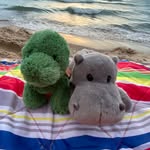 Henry and Kermit - @henry_kermit_adventures - Instagram