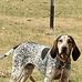 Kermit Hester - Facebook