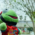 Kermit Lee - @kermit.lee.life - Instagram