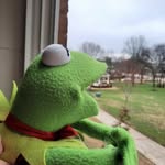 Kermit of Lee University - @officialkermitoflee - Instagram