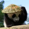 Kung Fu Panda - @zhangkrmitu - TikTok