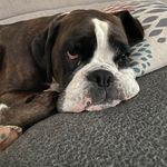 Kerri Barlow - @kerri130163 - Instagram