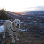 Kerry Beaver - @highlandsretreat.canaanvalley - Instagram