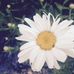 Kerrie Bigham - Facebook